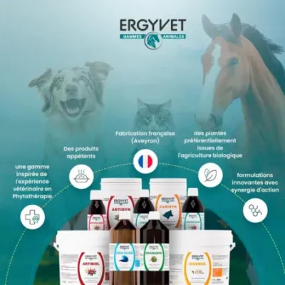 Ergyvet Hépatique